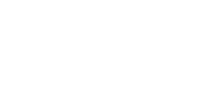 Biqmind: Microsoft Gold Partner