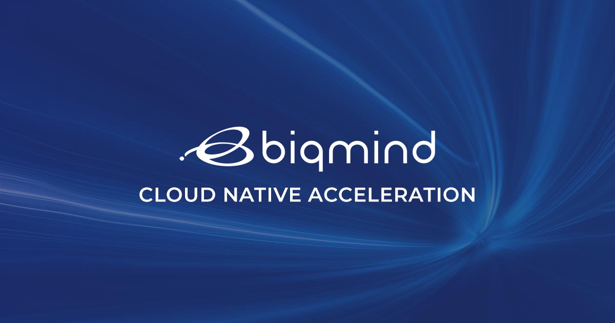 Biqmind Cloud Native Acceleration Session