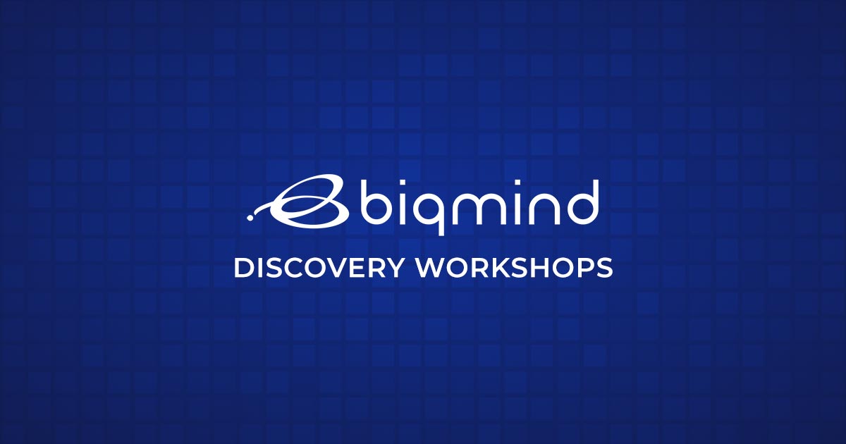 Biqmind Discovery Workshops